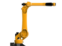 What are the application environment requirements and characteristics of palletizing robots?